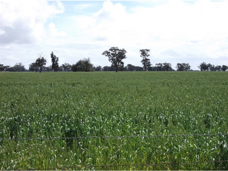 Berrigan NSW 2712