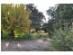 7 Sullivan Street, Towong VIC 3707