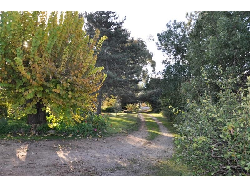 7 Sullivan Street, Towong VIC 3707