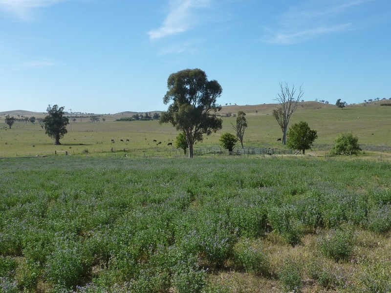 2181 Sturt Highway, Wagga Wagga NSW 2650