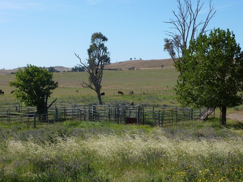 2181 Sturt Highway, Wagga Wagga NSW 2650