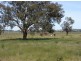 2181 Sturt Highway, Wagga Wagga NSW 2650