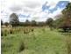 1432 Carlyle Street, Granya VIC 3701
