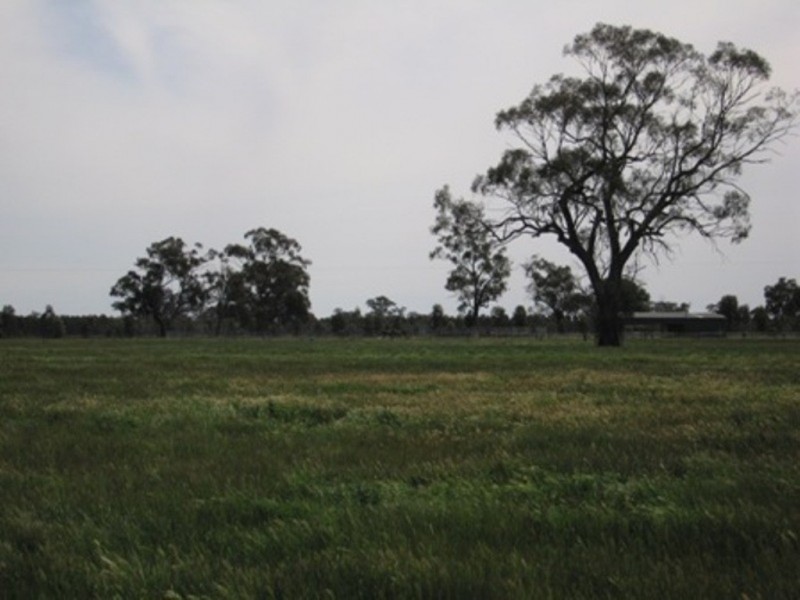 885 Gooramadda Road, Rutherglen VIC 3685