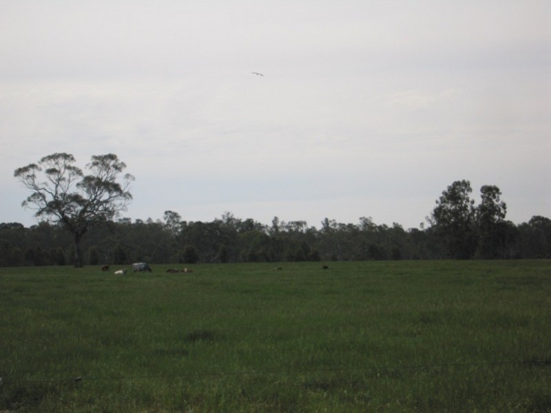 885 Gooramadda Road, Rutherglen VIC 3685