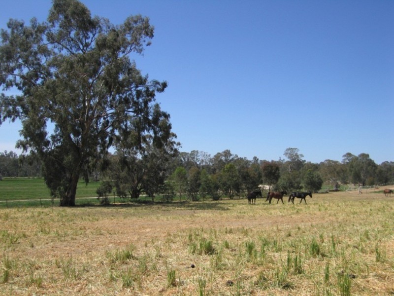 885 Gooramadda Road, Rutherglen VIC 3685