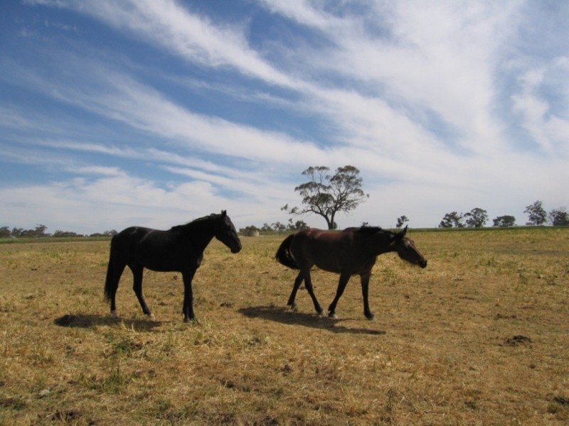 885 Gooramadda Road, Rutherglen VIC 3685