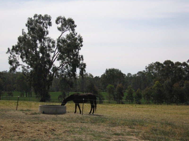 885 Gooramadda Road, Rutherglen VIC 3685