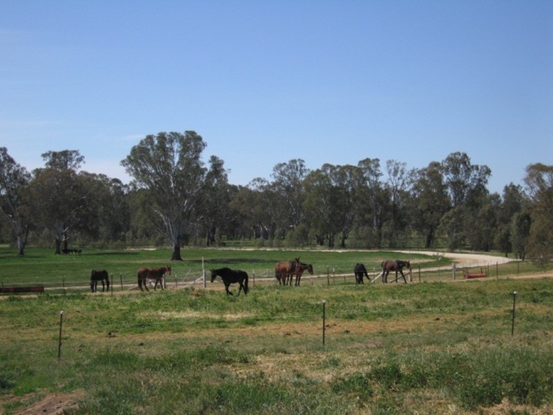 885 Gooramadda Road, Rutherglen VIC 3685