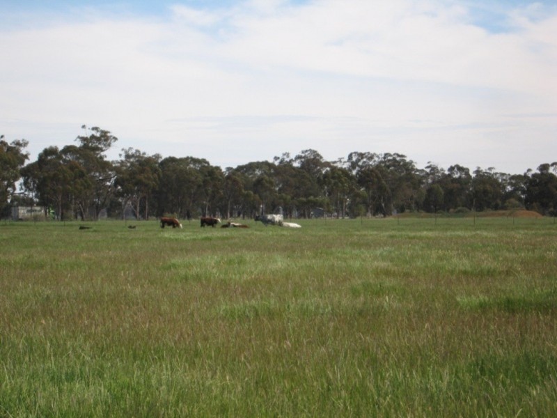 885 Gooramadda Road, Rutherglen VIC 3685