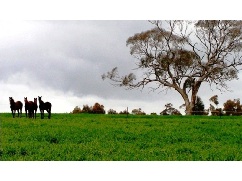 885 Gooramadda Road, Rutherglen VIC 3685