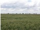 Jerilderie NSW 2716