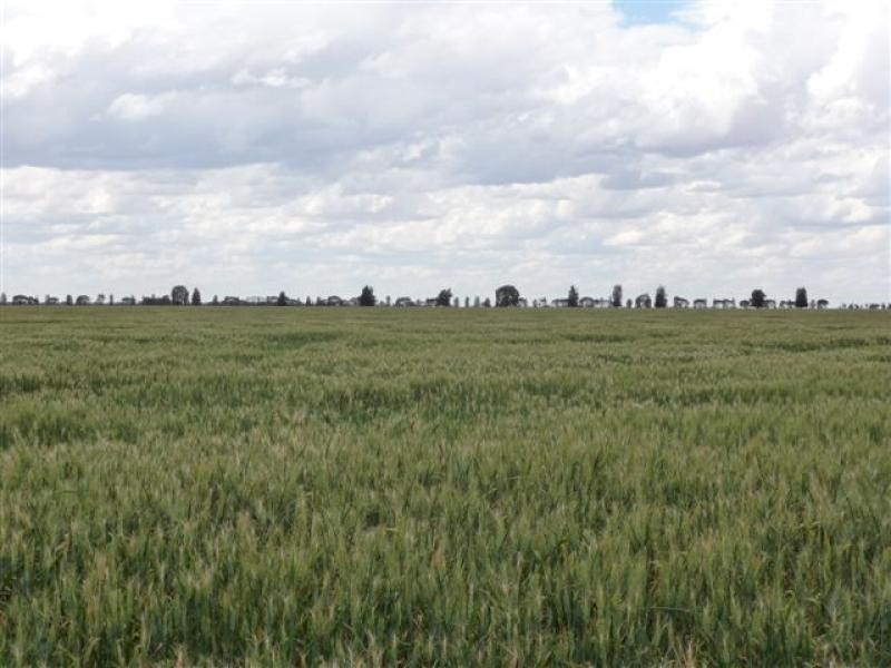 Jerilderie NSW 2716