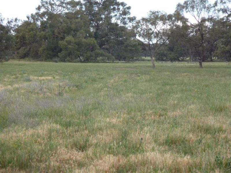 Jerilderie NSW 2716