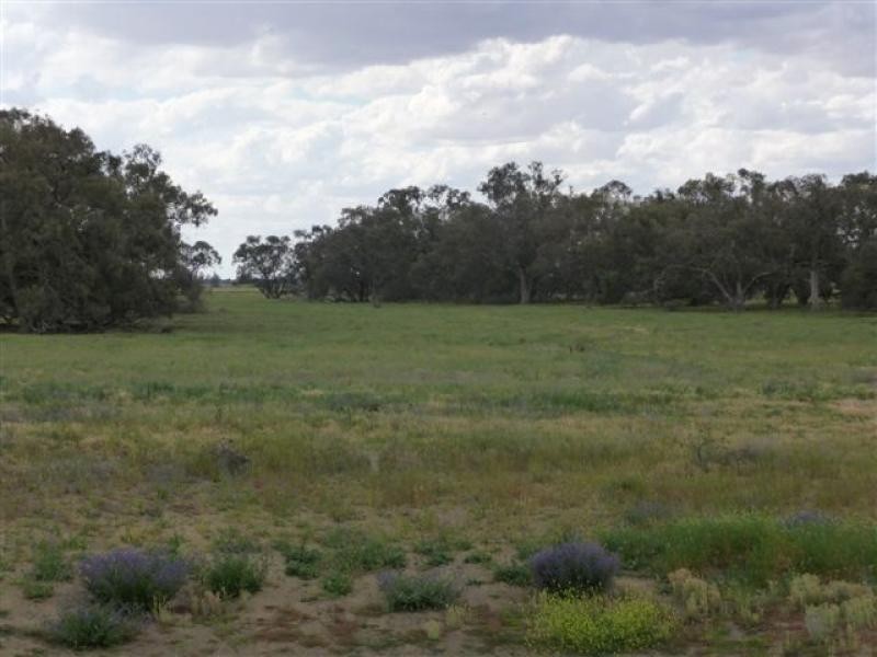 Jerilderie NSW 2716