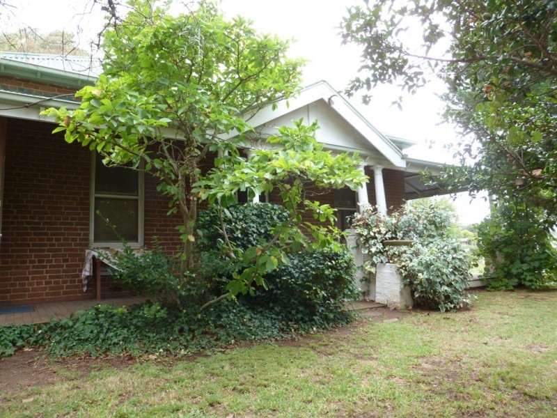 115 EDWARD ST, Young NSW 2594