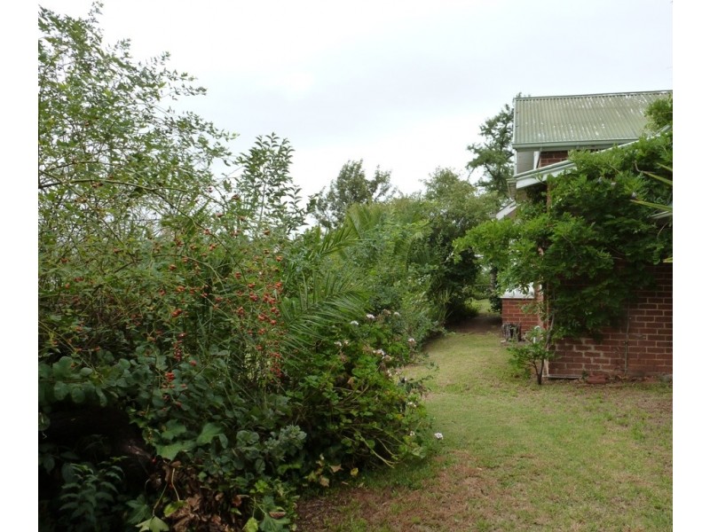 115 EDWARD ST, Young NSW 2594
