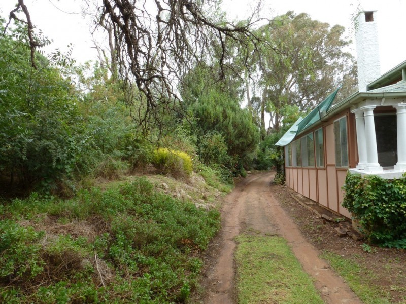 115 EDWARD ST, Young NSW 2594
