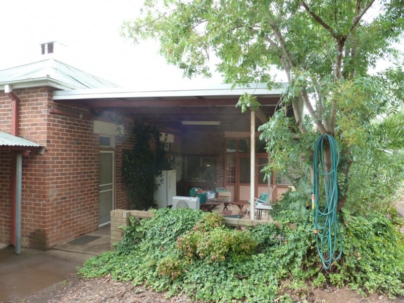 115 EDWARD ST, Young NSW 2594