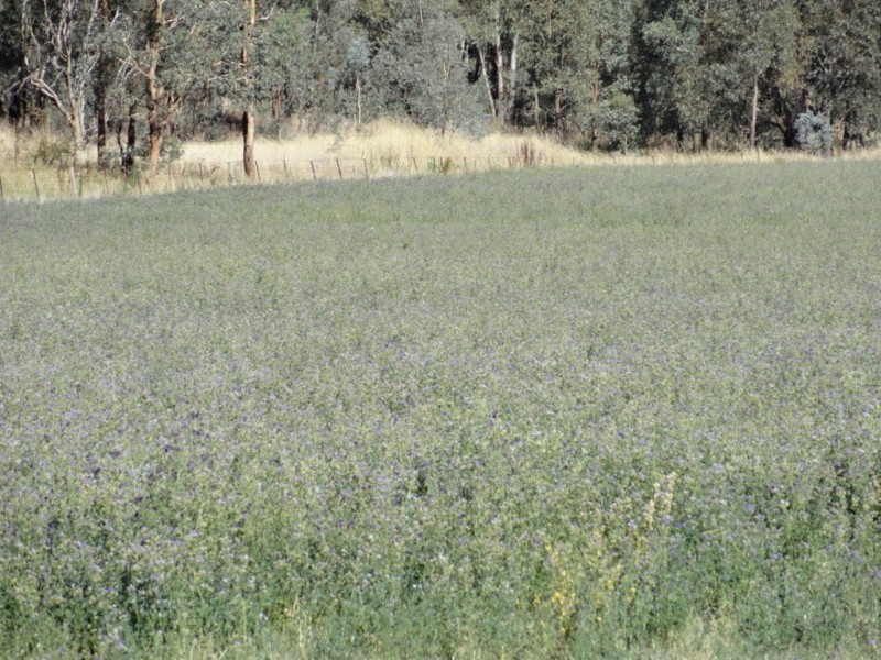 28 Plunkett Road, Bowna NSW 2644