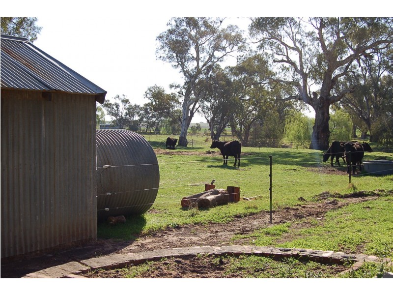 28 Plunkett Road, Bowna NSW 2644