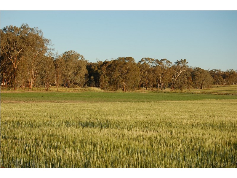 28 Plunkett Road, Bowna NSW 2644