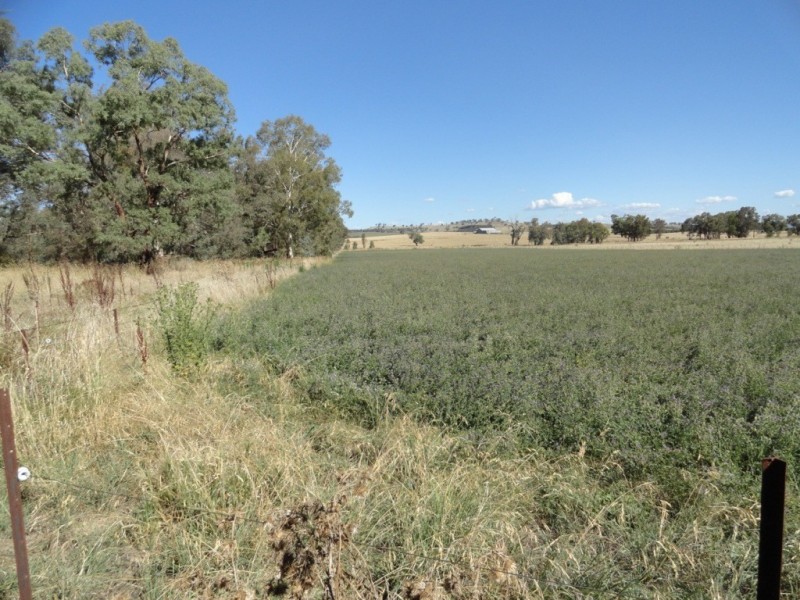 28 Plunkett Road, Bowna NSW 2644