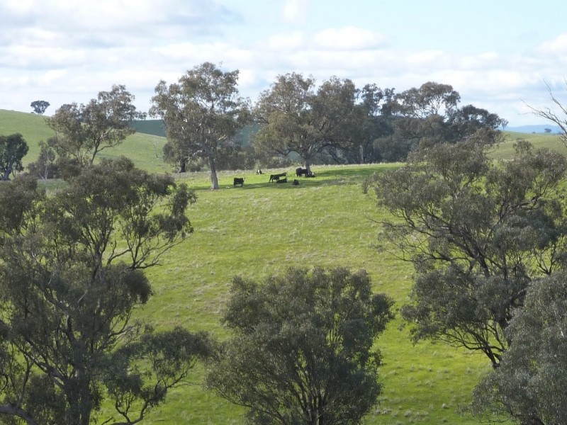 2941 Sturt Highway, Wagga Wagga NSW 2650