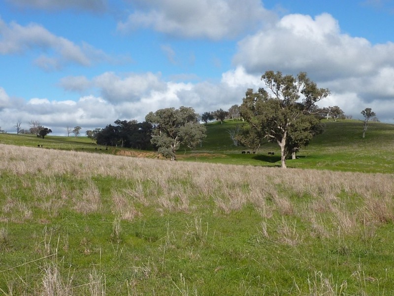 2941 Sturt Highway, Wagga Wagga NSW 2650