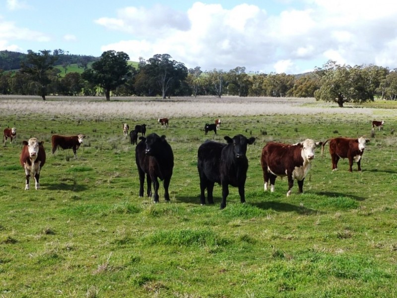 2941 Sturt Highway, Wagga Wagga NSW 2650