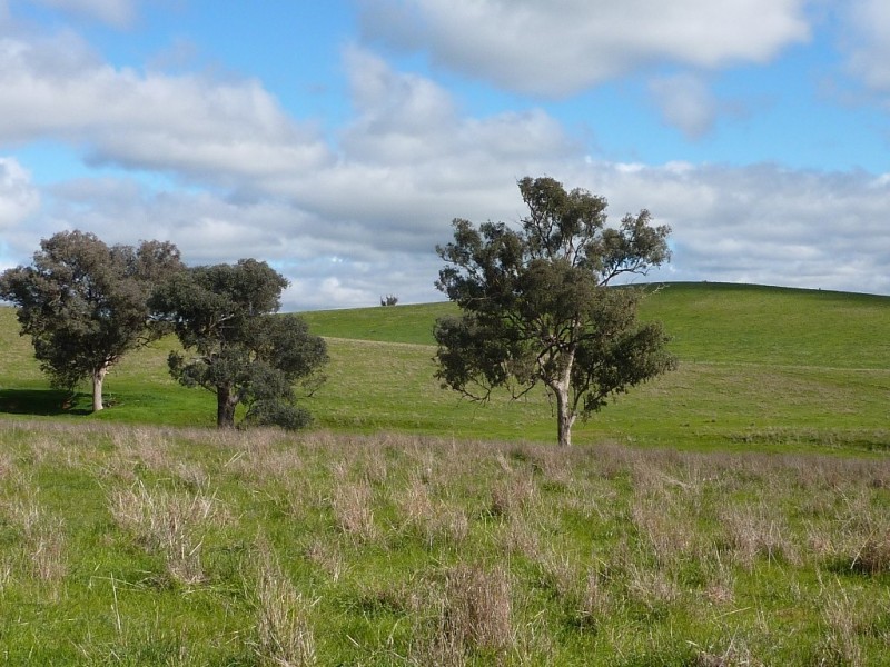 2941 Sturt Highway, Wagga Wagga NSW 2650