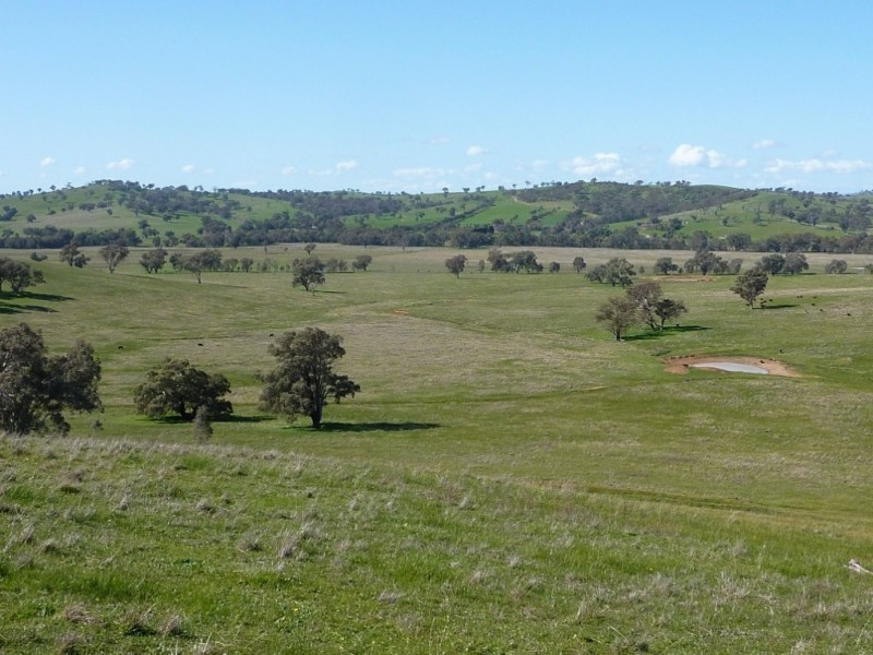 2941 Sturt Highway, Wagga Wagga NSW 2650