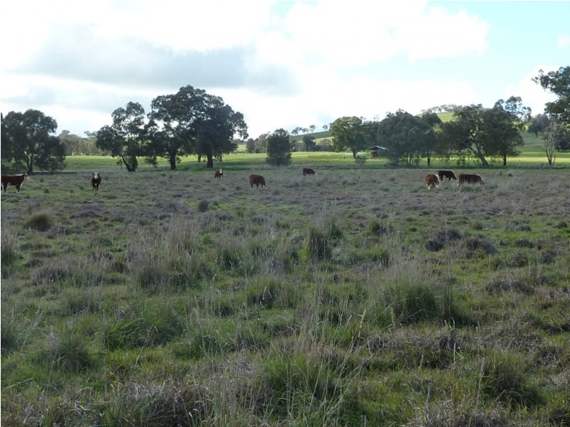 2941 Sturt Highway, Wagga Wagga NSW 2650