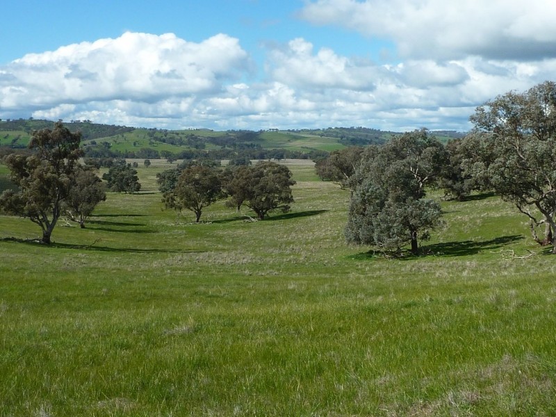 2941 Sturt Highway, Wagga Wagga NSW 2650