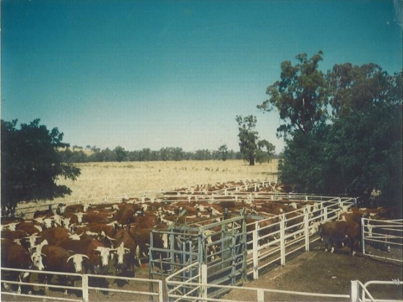 2941 Sturt Highway, Wagga Wagga NSW 2650