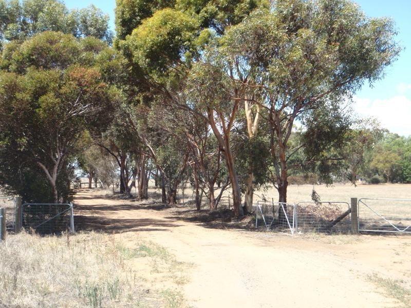 James Lane, Finley NSW 2713