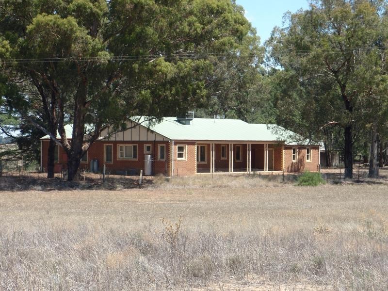 James Lane, Finley NSW 2713