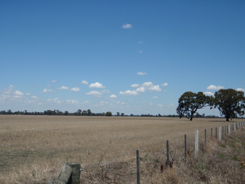 James Lane, Finley NSW 2713