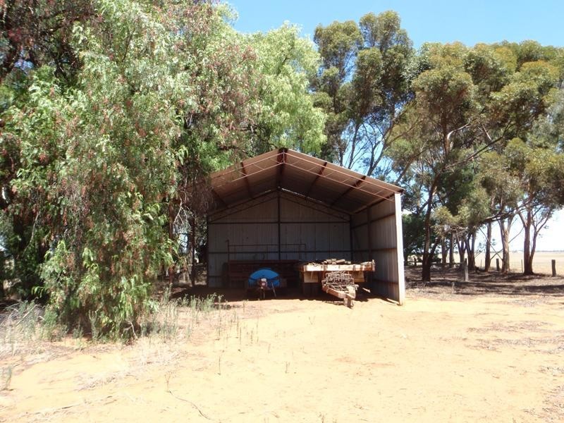 James Lane, Finley NSW 2713