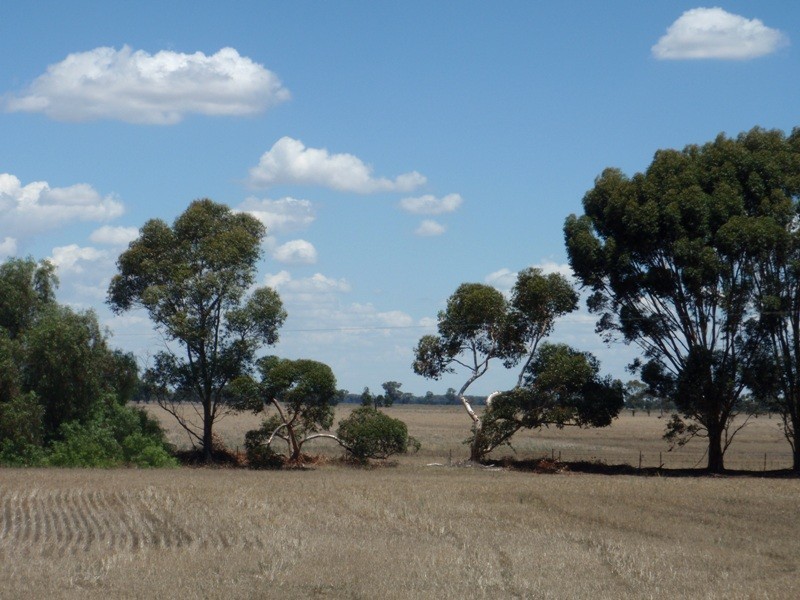James Lane, Finley NSW 2713