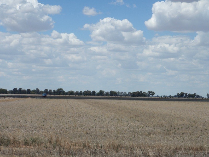 James Lane, Finley NSW 2713