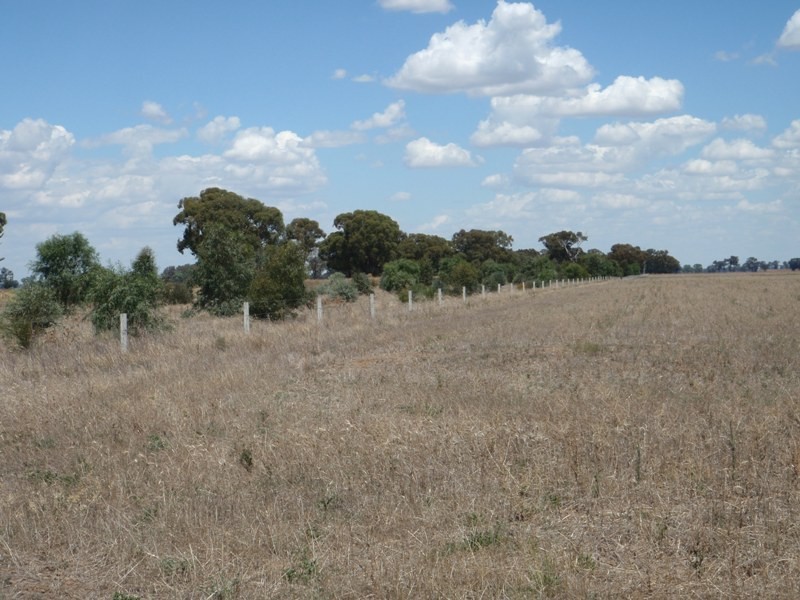 James Lane, Finley NSW 2713