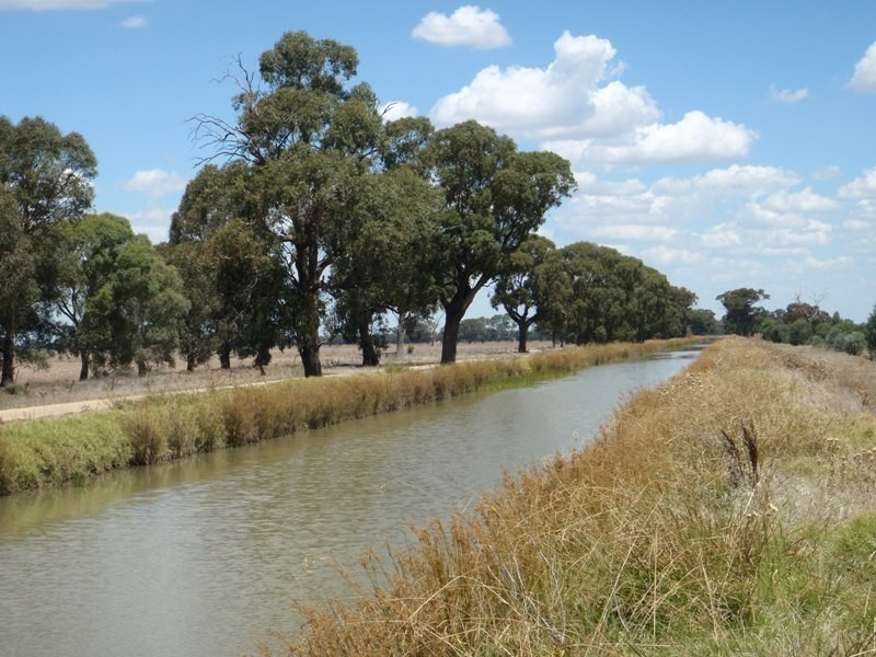 James Lane, Finley NSW 2713