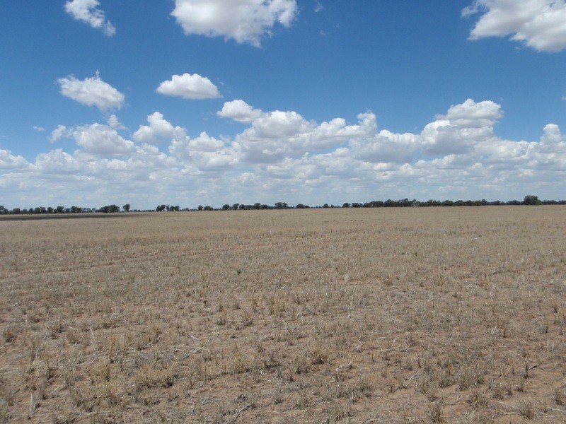 James Lane, Finley NSW 2713