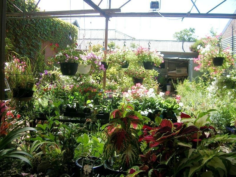 60 Belmore Street, Yarrawonga VIC 3730