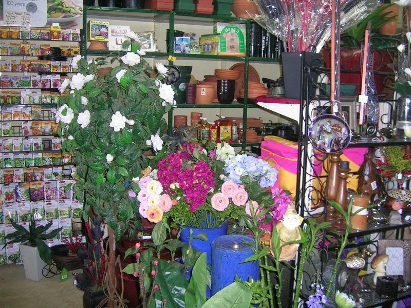 60 Belmore Street, Yarrawonga VIC 3730