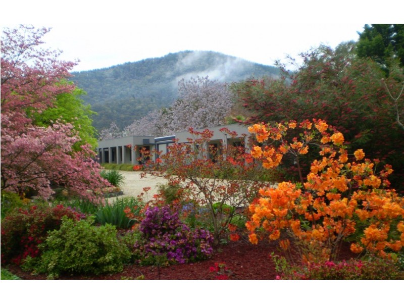 5, 2-4 Gavan Street, Bright VIC 3741