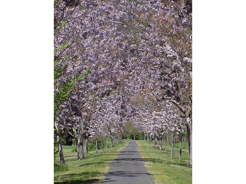 5, 2-4 Gavan Street, Bright VIC 3741