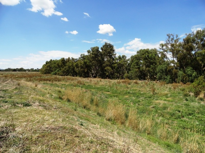 Lot 187 Walbundrie Road, Walla Walla NSW 2659