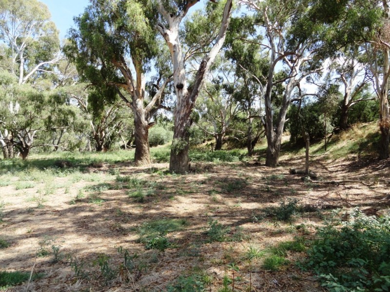 Lot 187 Walbundrie Road, Walla Walla NSW 2659
